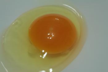 水、蛋白、蛋黃層層分明的金讚蛋