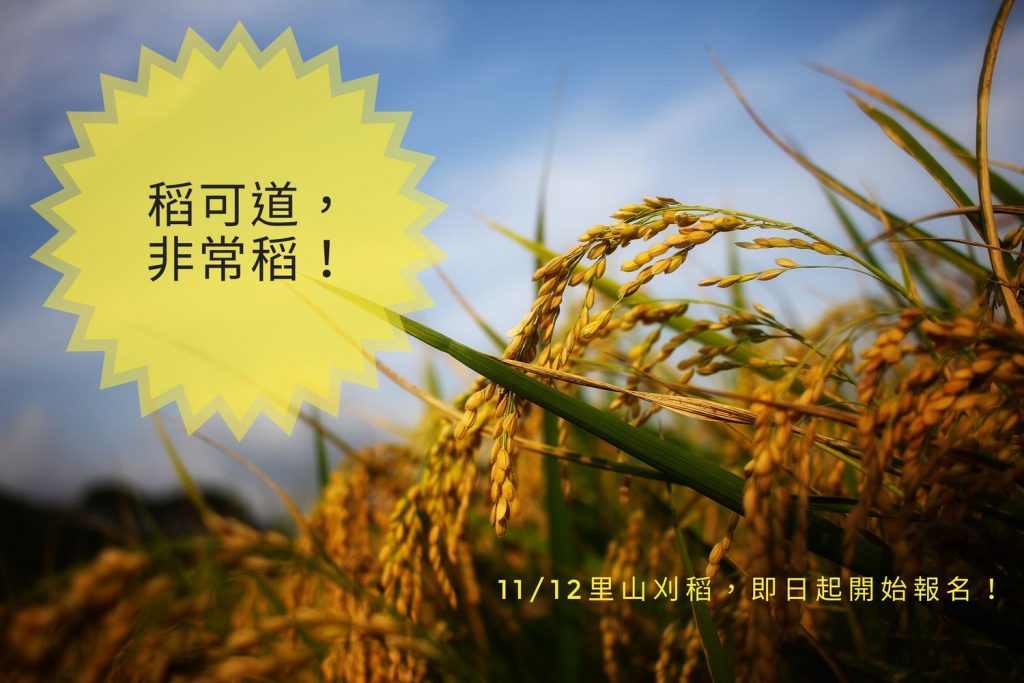 2017二期里山刈稻