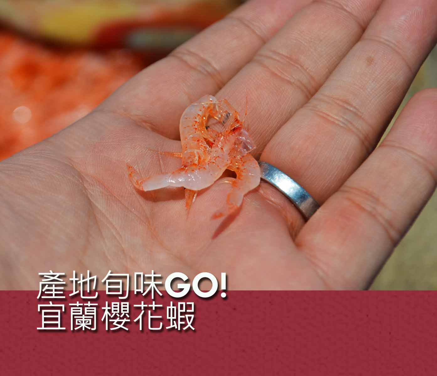 產地旬味GO!宜蘭櫻花蝦活動照片1